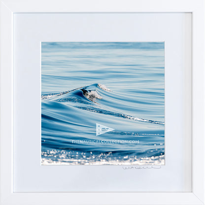 *Mini Print–B–MEDIUM