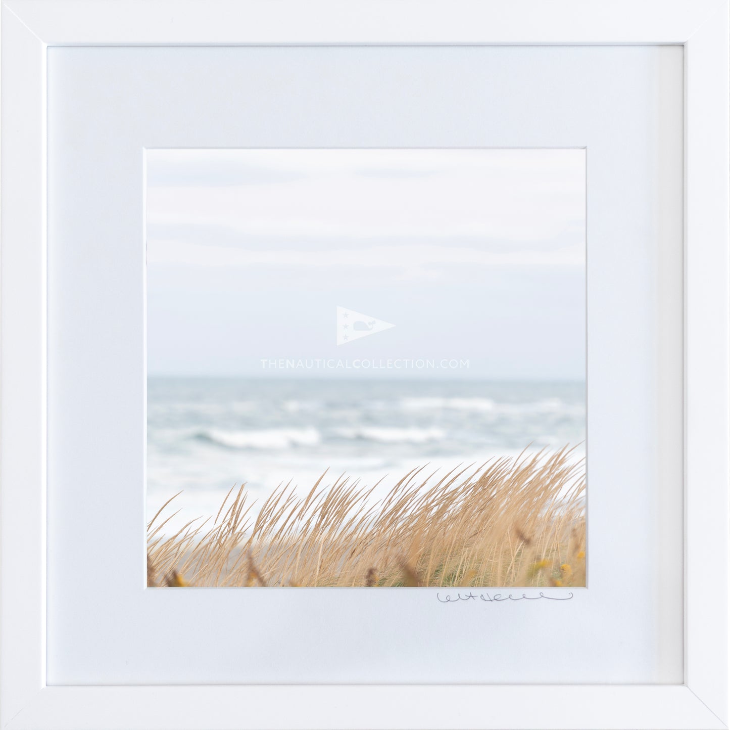 *Mini Print–MED