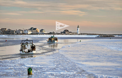 *ACRYLIC TRAY Inserts